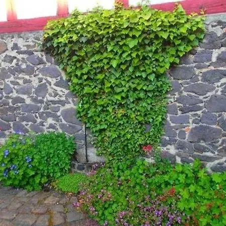 Holiday home In Bernsfeld Mit Grossem Garten *